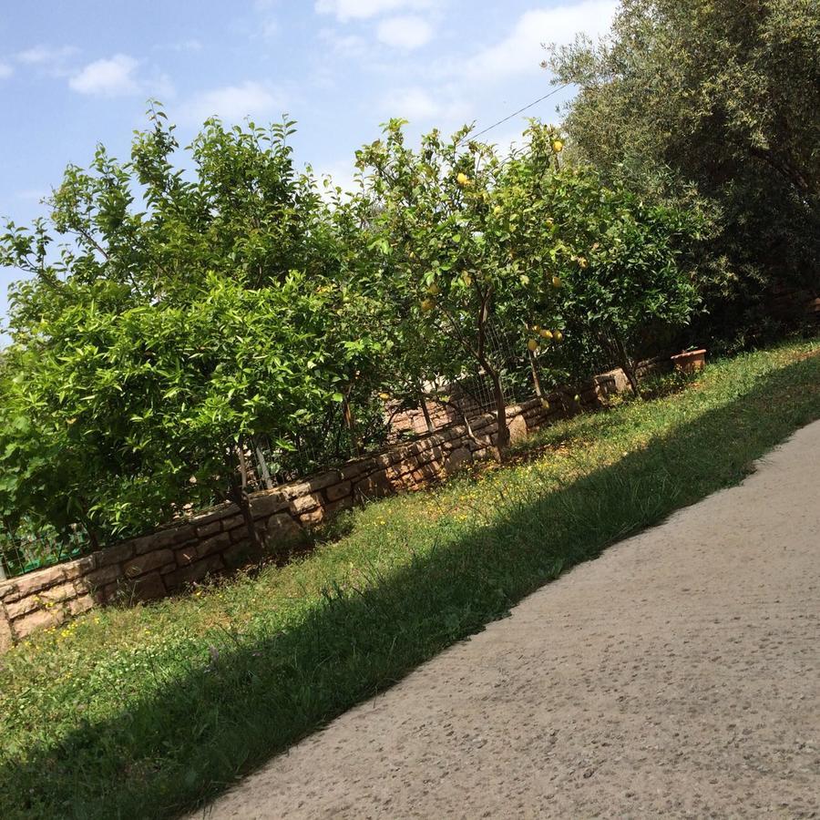 Villa Roku كساميل المظهر الخارجي الصورة